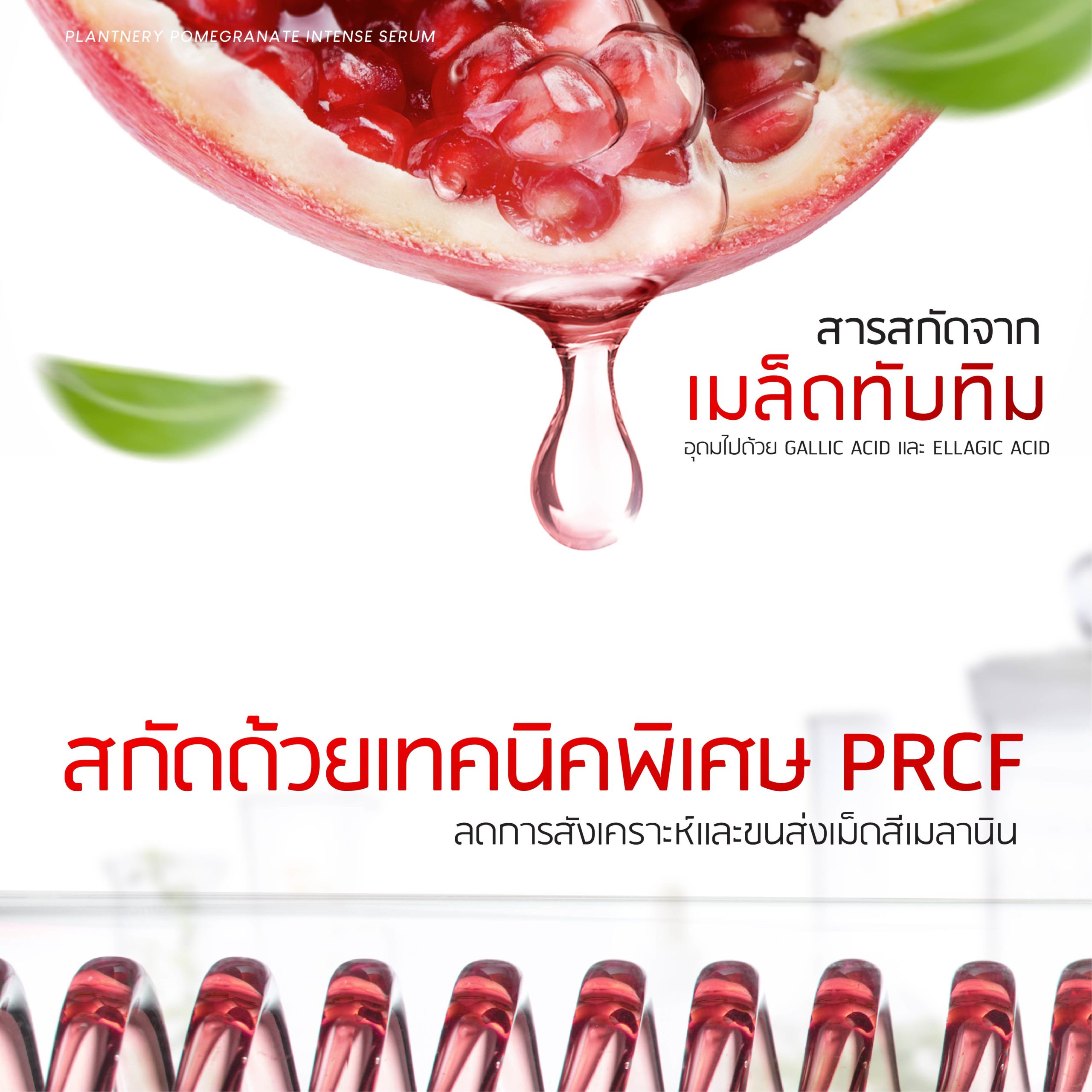 Pomegranate intense serum Rev.2 03