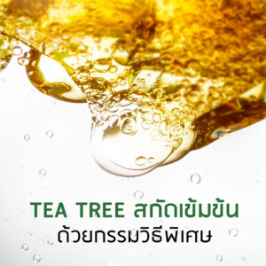 Promote Tea Tree Sleeping Mask 04
