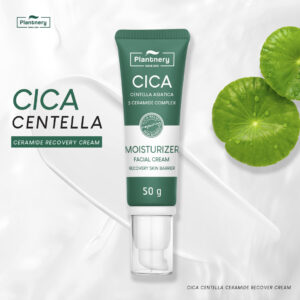 Cica Centella Ceramide Recovery Cream 50g 1