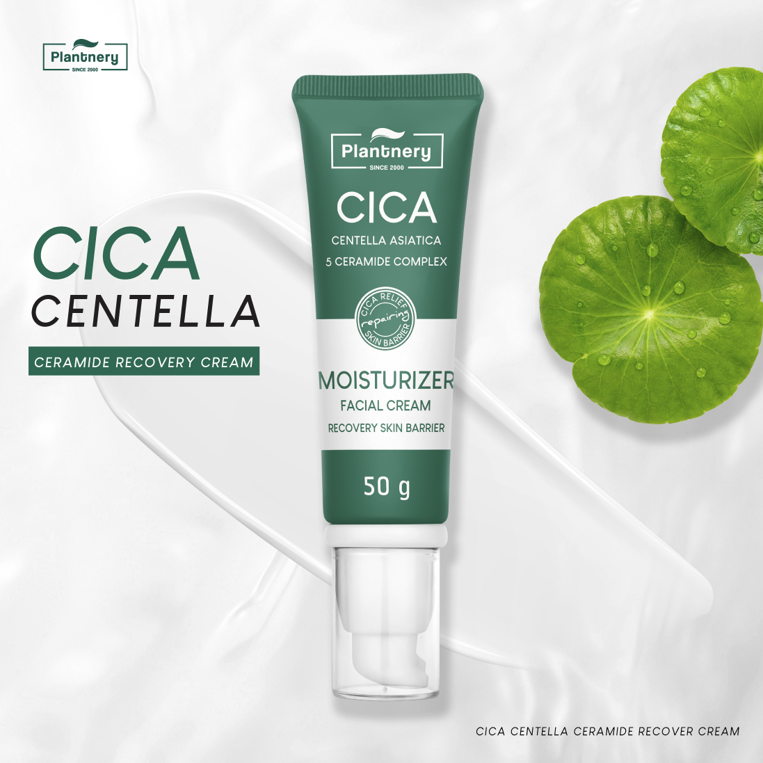 Cica Centella Ceramide Recovery Cream 50g 1