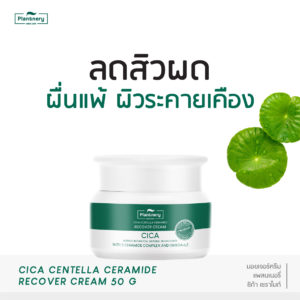 Plantnery cica centella recover cream